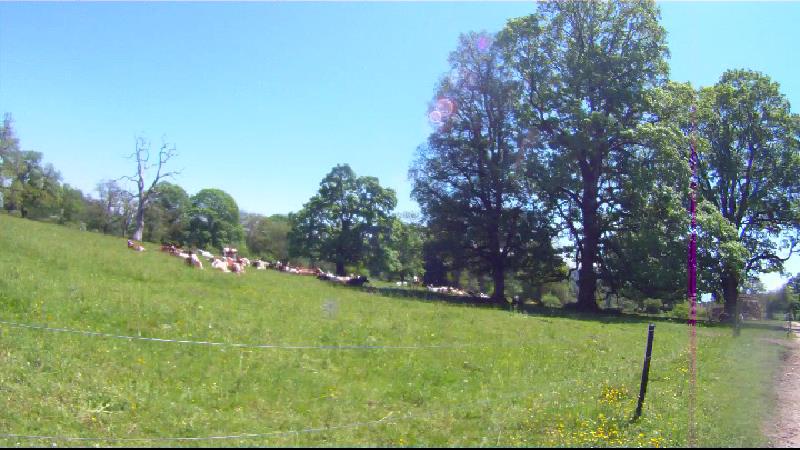 images panoramique