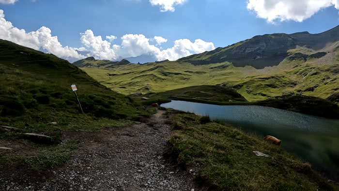 images panoramique