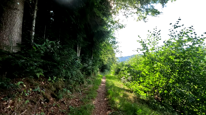 images panoramique