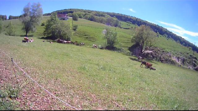 images panoramique