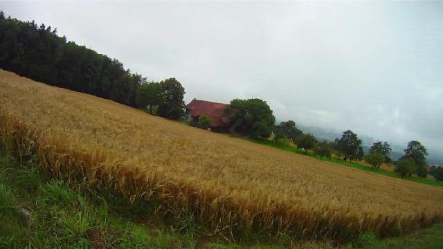 images panoramique