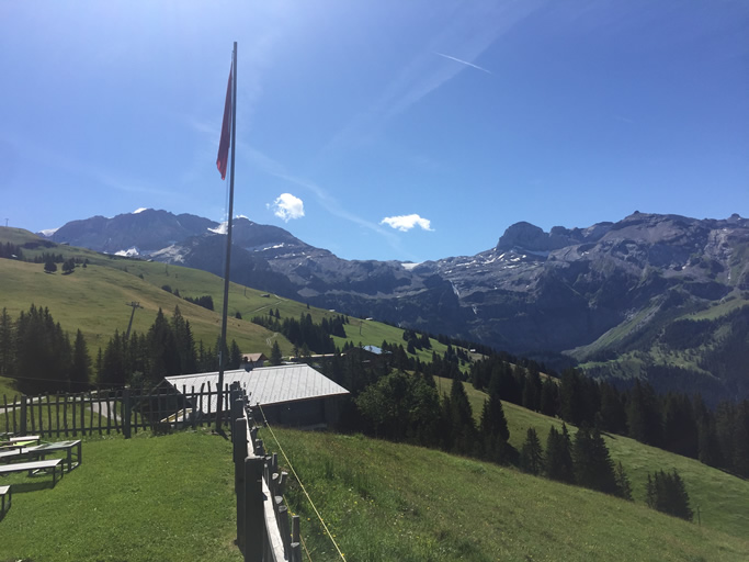 lenk