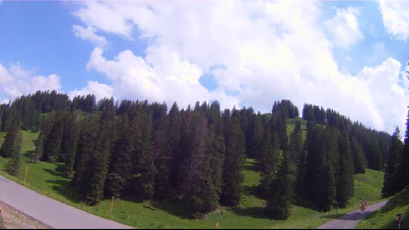 images panoramique