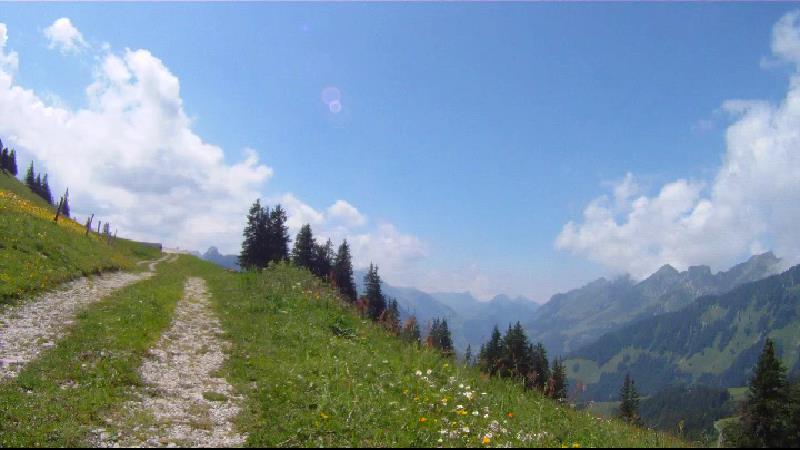images panoramique