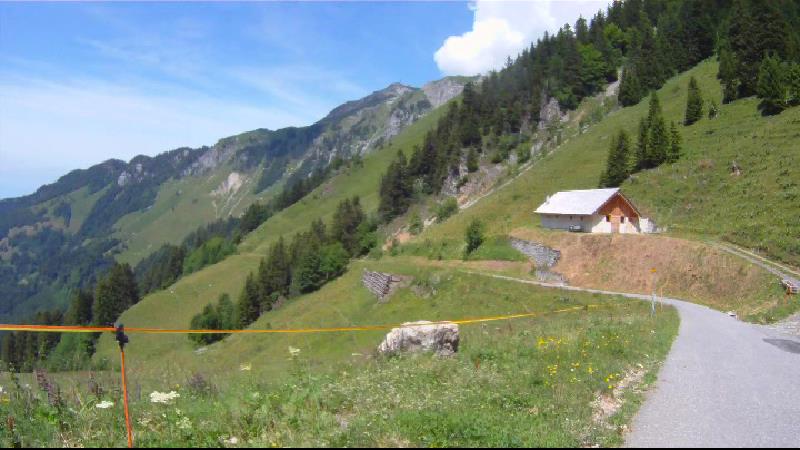 images panoramique