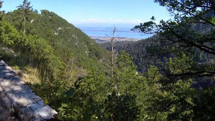 images panoramique