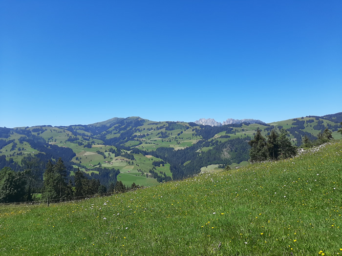 images panoramique
