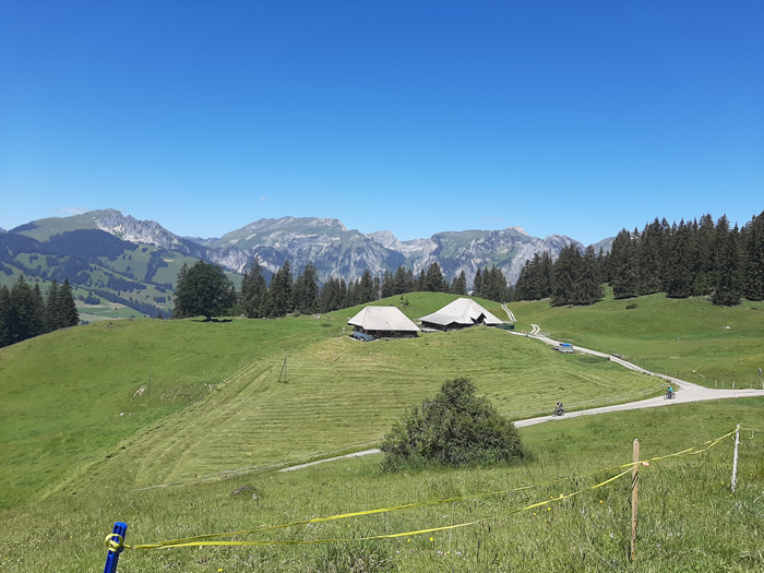 images panoramique