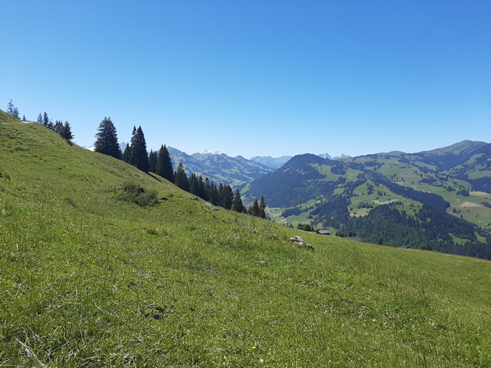 images panoramique