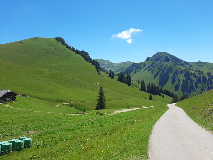 images panoramique