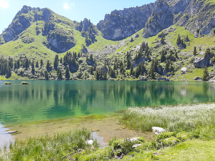 images panoramique