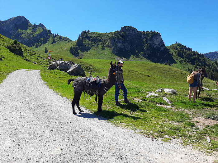 images panoramique