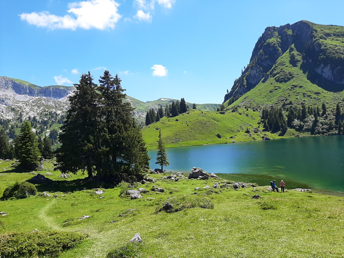 images panoramique