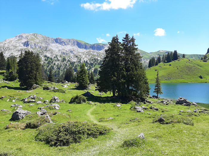 images panoramique