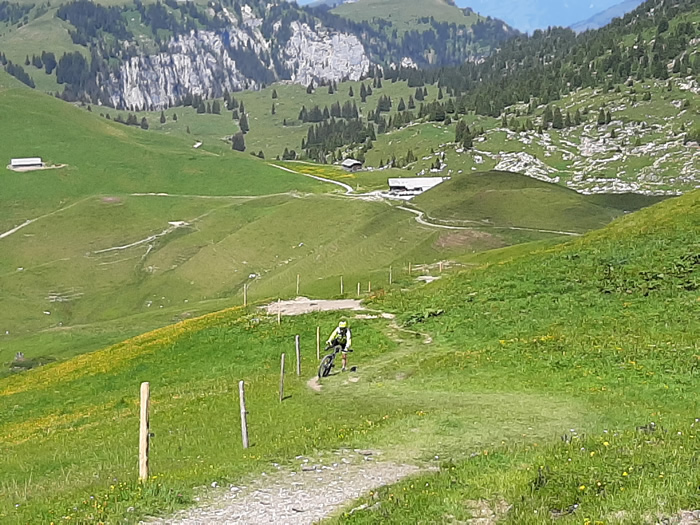 images panoramique
