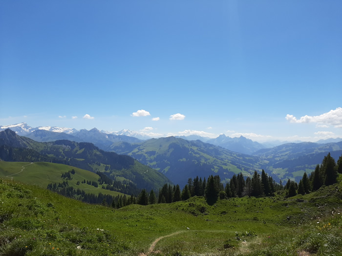 images panoramique