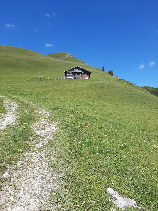 images panoramique