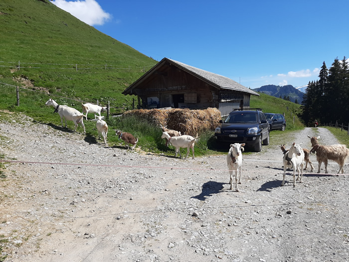 images panoramique