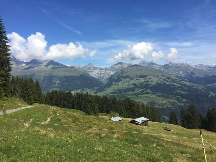 images panoramique