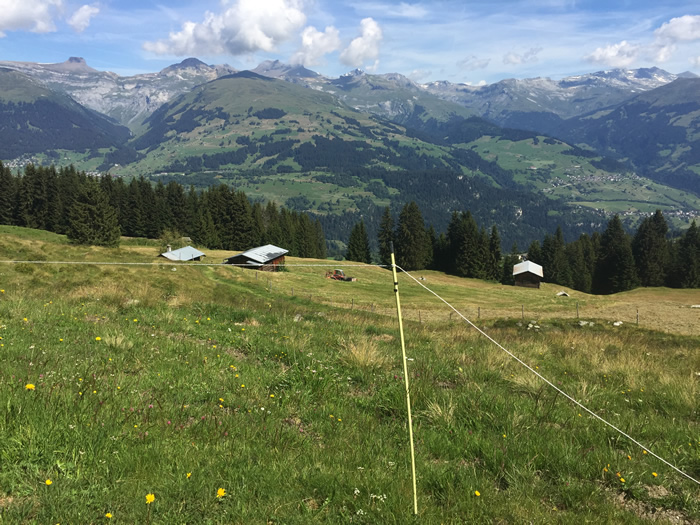 images panoramique