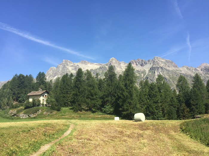 images panoramique