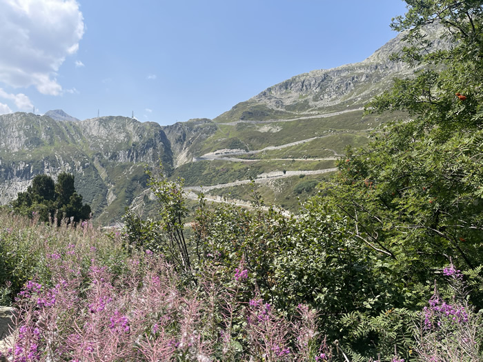 images panoramique