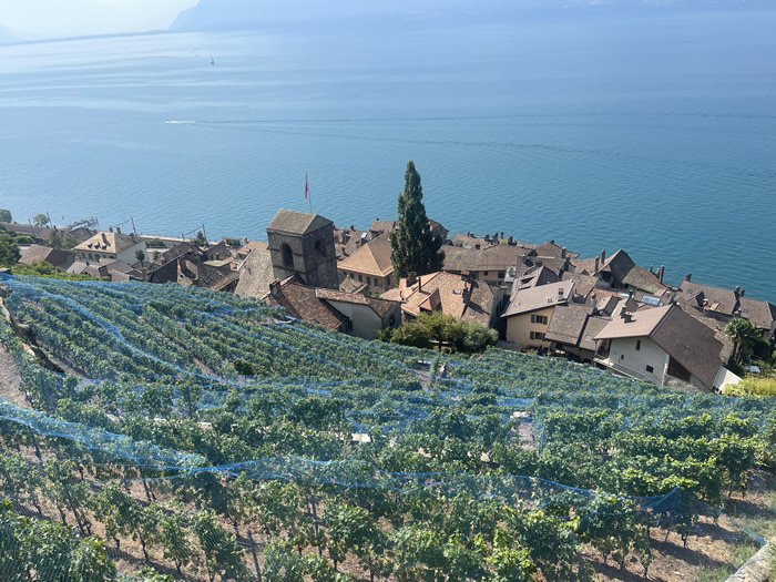 images panoramique