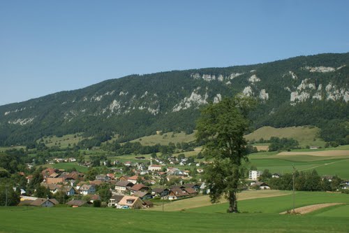 images panoramique