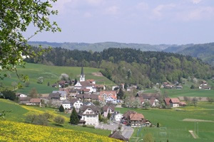 images panoramique
