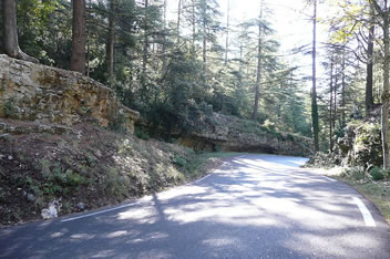 Ventoux