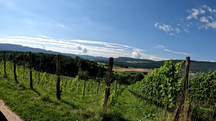 images panoramique