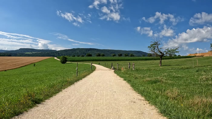 images panoramique