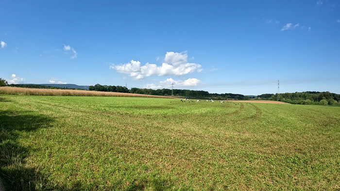 images panoramique