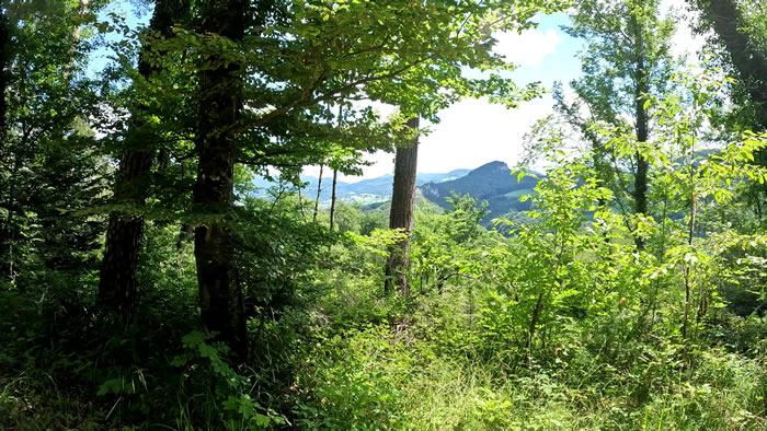 images panoramique