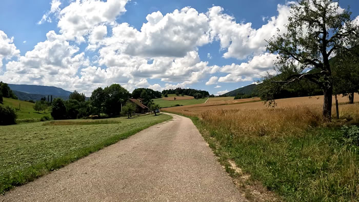 images panoramique