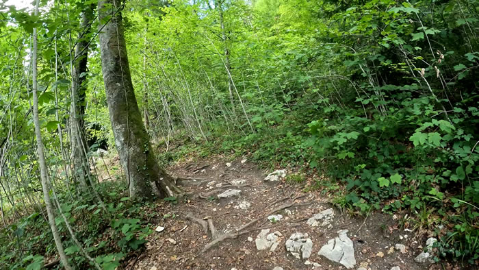 images panoramique
