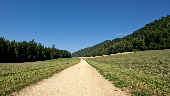 images panoramique