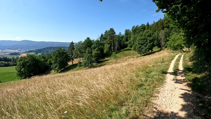 images panoramique