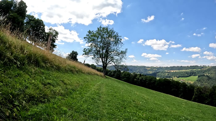 images panoramique