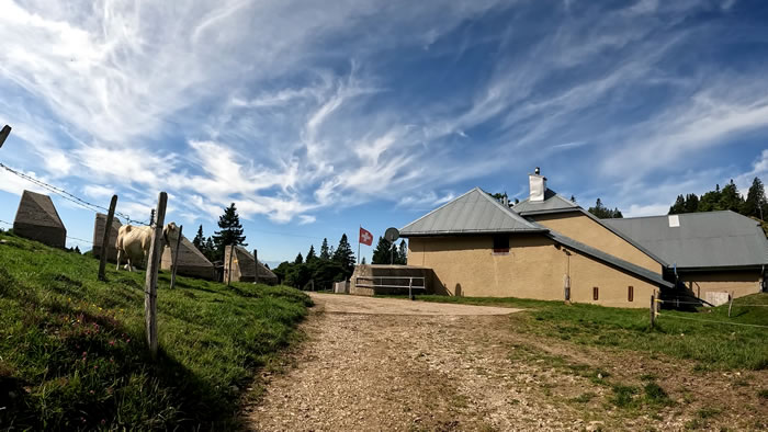 images panoramique