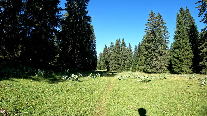 images panoramique
