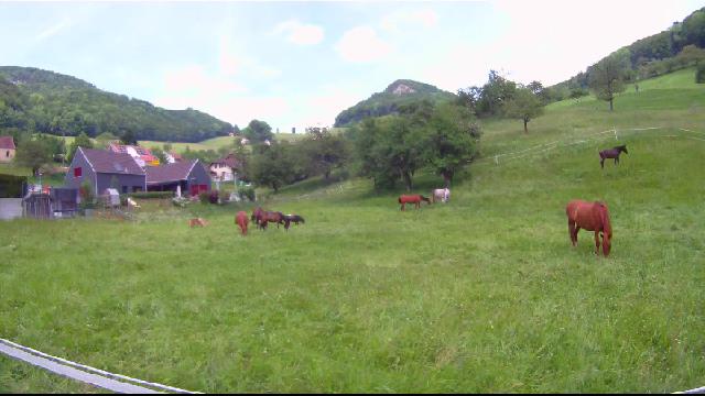 images panoramique